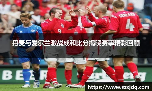 丹麦与爱尔兰激战成和比分揭晓赛事精彩回顾